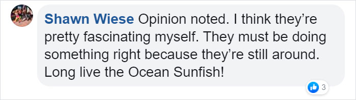 People Are Hysterical Over A Viral Sunfish Rant On Facebook
