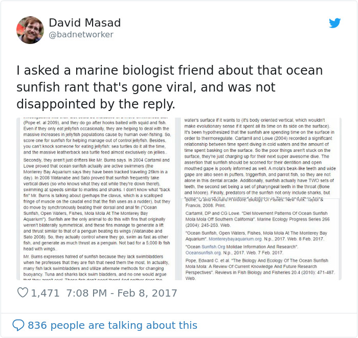 People Are Hysterical Over A Viral Sunfish Rant On Facebook