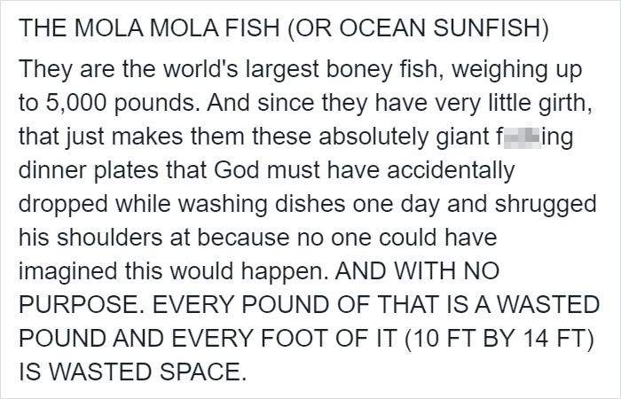People Are Hysterical Over A Viral Sunfish Rant On Facebook People Are Hysterical Over A Viral Sunfish Rant On Facebook