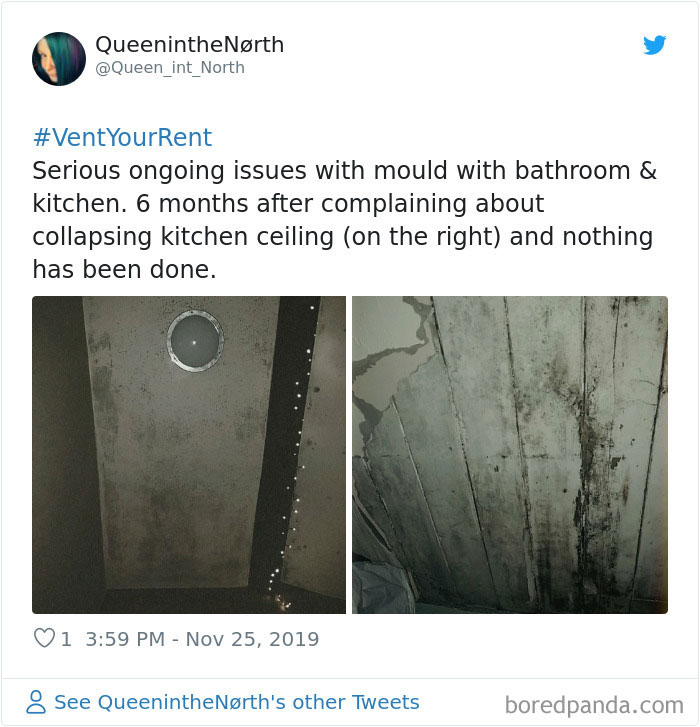 People-Share-Worst-Rent-Expierences-Vent-Your-Rent