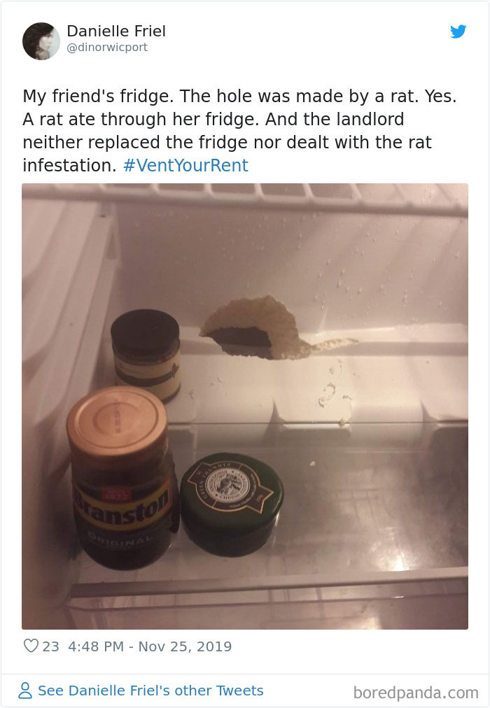 People-Share-Worst-Rent-Expierences-Vent-Your-Rent