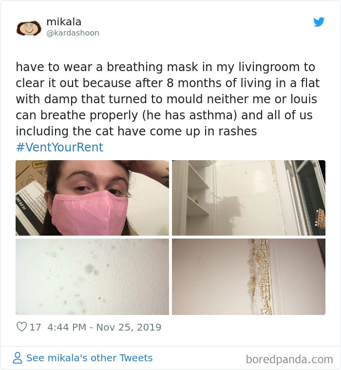 People-Share-Worst-Rent-Expierences-Vent-Your-Rent