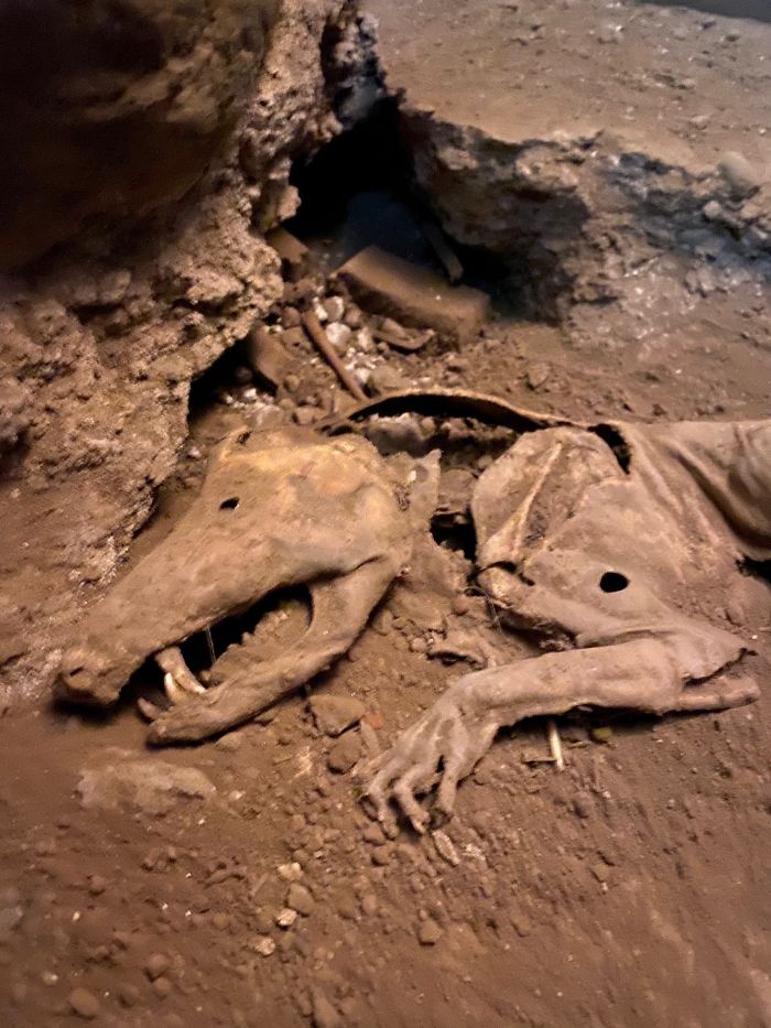 Weird-Structural-Inspections