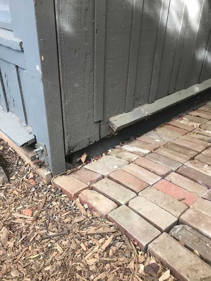 Weird-Structural-Inspections