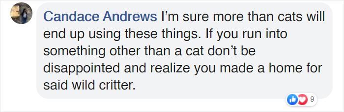 Man Makes Winter Shelters For Stray Cats Out Of Discarded Coolers