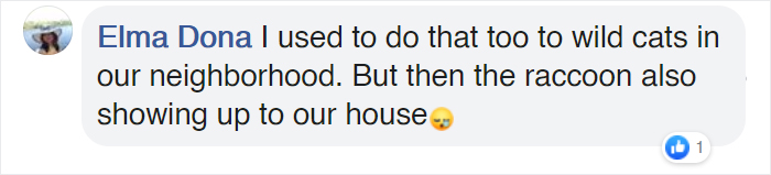 Man Makes Winter Shelters For Stray Cats Out Of Discarded Coolers