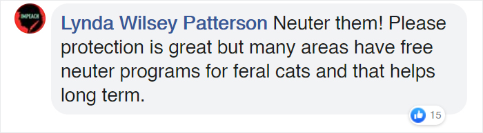 Man Makes Winter Shelters For Stray Cats Out Of Discarded Coolers