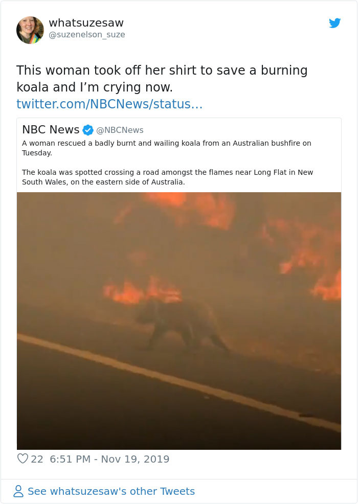 Woman Saves A Scorched And Screaming Koala With The Shirt Off Her Own Back Woman Saves A Scorched And Screaming Koala With The Shirt Off Her Own Back