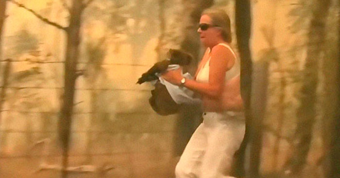 Esta mujer salvó a un koala que se abrasaba y gritaba quitándose su propia camisa