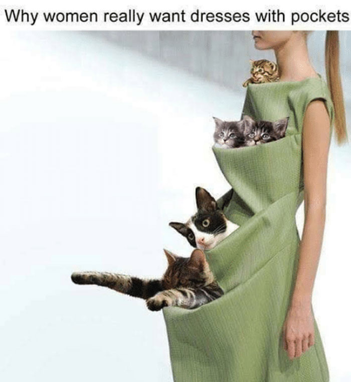 Women-Demand-Pockets-Memes
