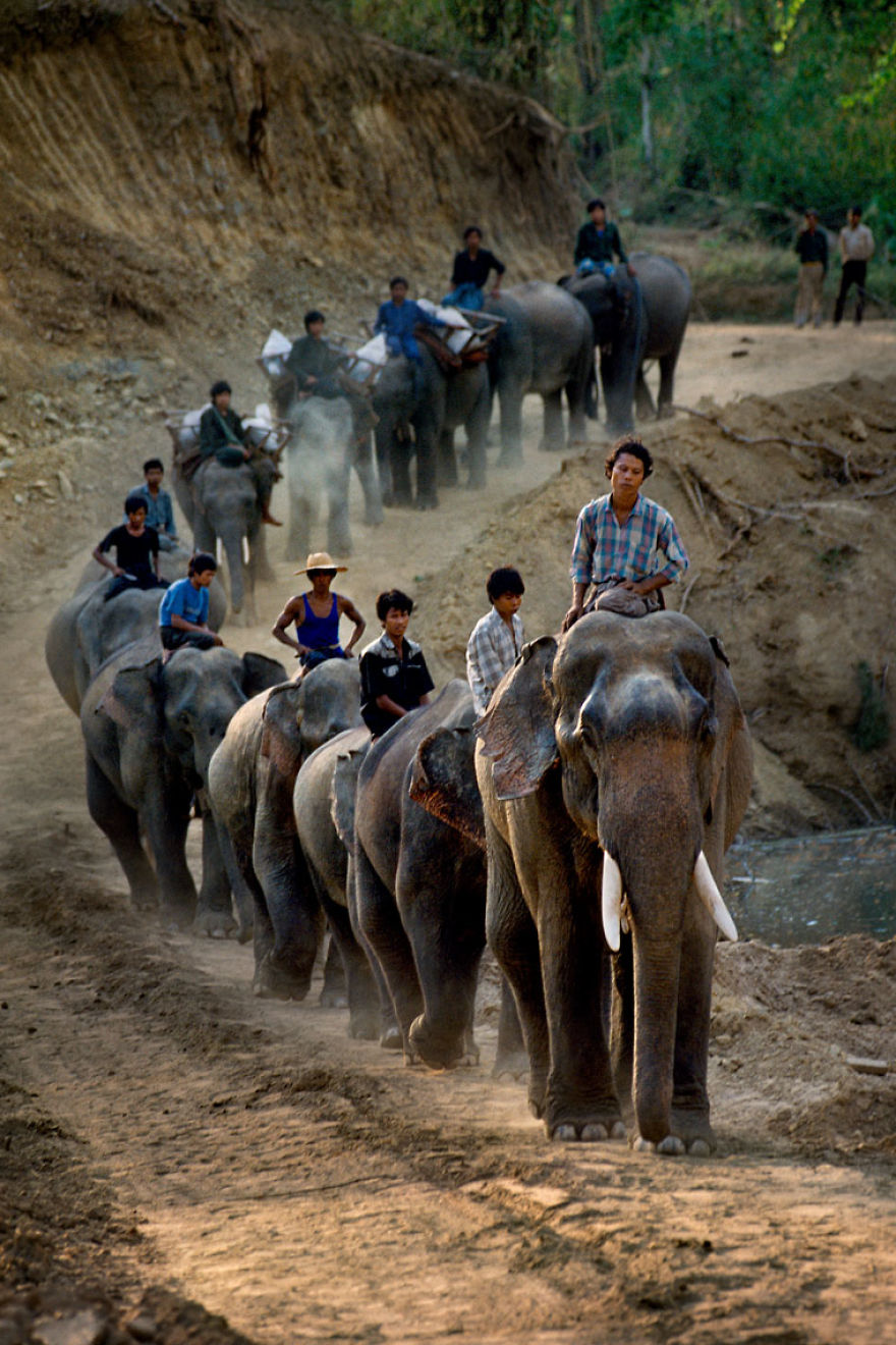 The Special Bond Between Humans And Animals Portrayed By Steve Mccurry