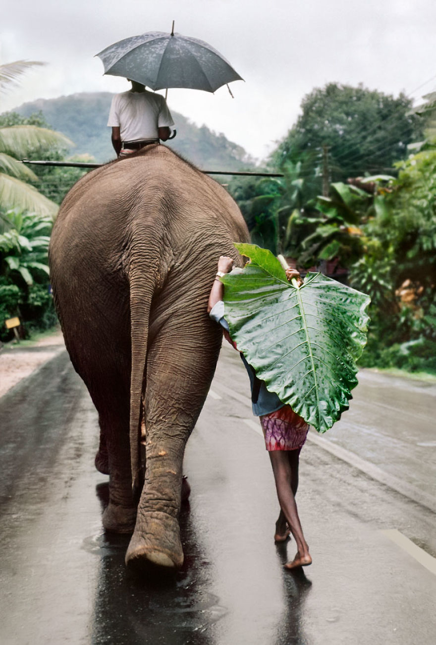 The Special Bond Between Humans And Animals Portrayed By Steve Mccurry