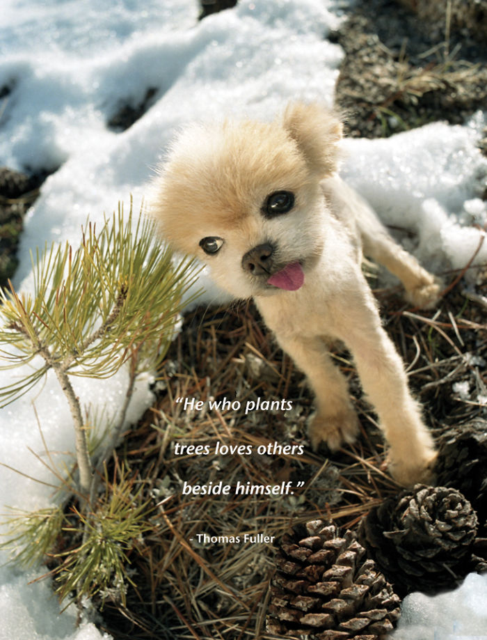 I Photograph Cuteness For A Cause