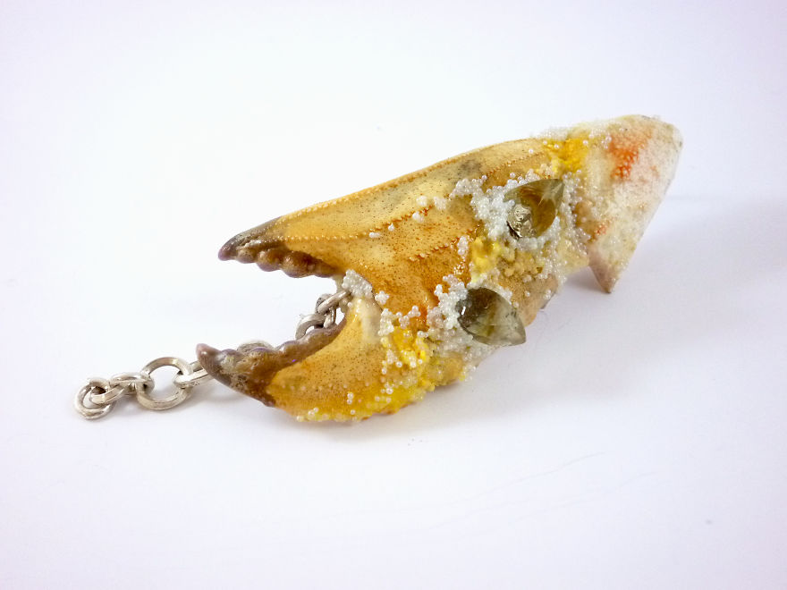 I Turn Creepy Crabs Into Jewels