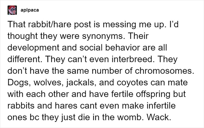 People Share Mindblowing Pairs Of Animals That Look Similar But Are Genetically Incompatible People Share Mindblowing Pairs Of Animals That Look Similar But Are Genetically Incompatible