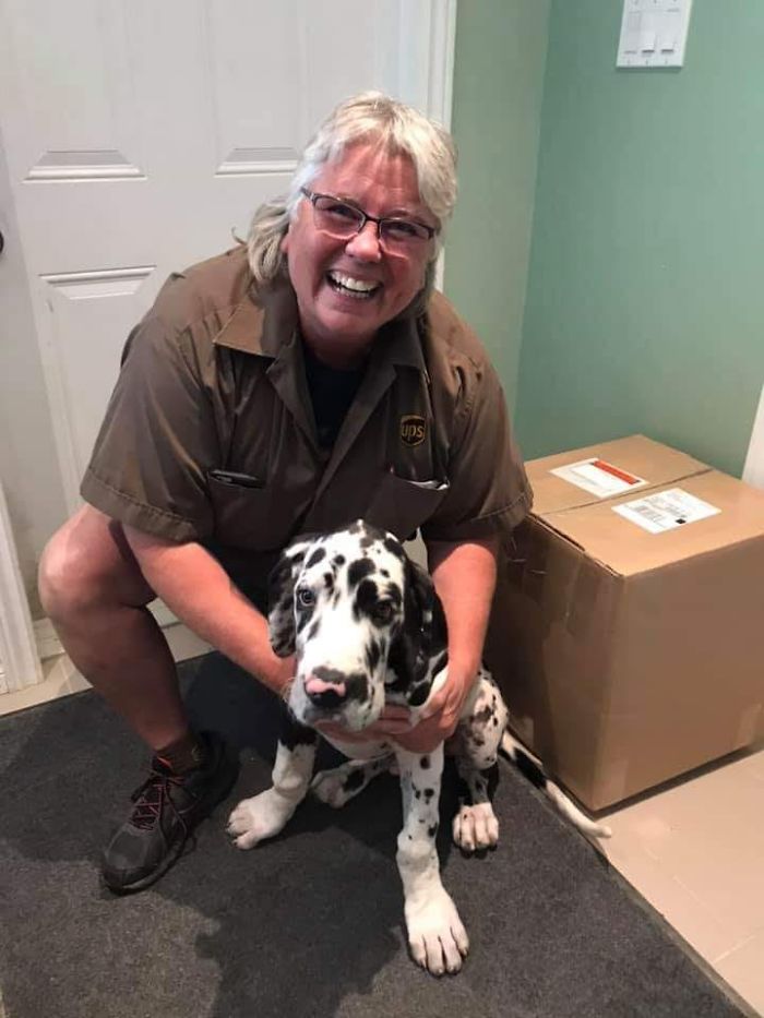 UPS-Drivers-Meets-Animals-Dogs