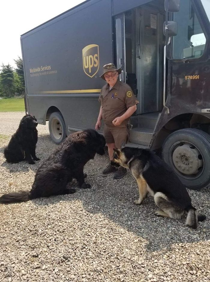 UPS-Drivers-Meets-Animals-Dogs