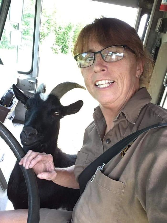 UPS-Drivers-Meets-Animals-Dogs