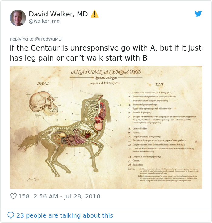 Doctor Tries Answering What He'd Do If A Centaur Had A Heart Attack In A Hilariously Serious Twitter Thread