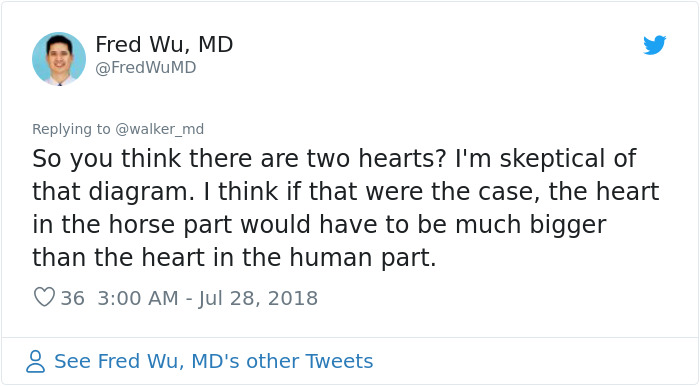 Doctor Tries Answering What He'd Do If A Centaur Had A Heart Attack In A Hilariously Serious Twitter Thread