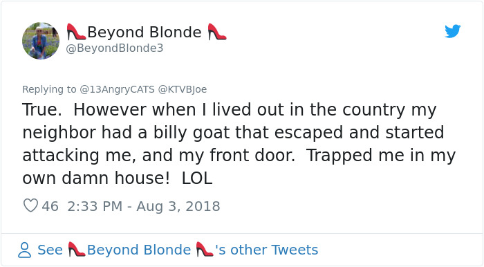 100 "Goats For Rent" Terrorize A Peaceful Neighborhood 100 "Goats For Rent" Terrorize A Peaceful Neighborhood