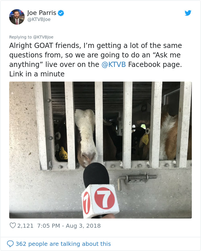 100 "Goats For Rent" Terrorize A Peaceful Neighborhood