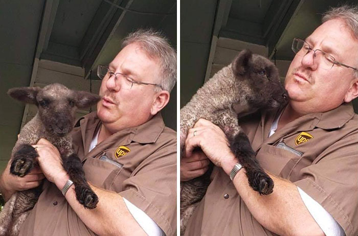 UPS-Drivers-Meets-Animals-Dogs