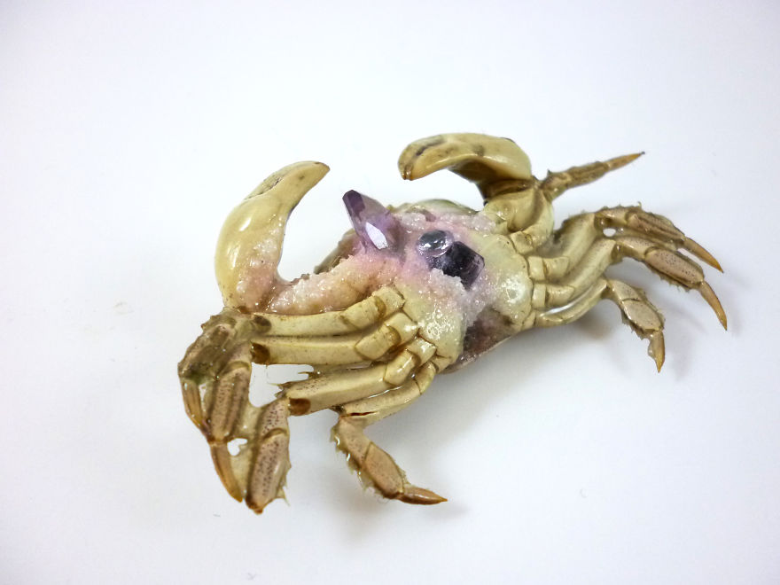 I Turn Creepy Crabs Into Jewels I Turn Creepy Crabs Into Jewels