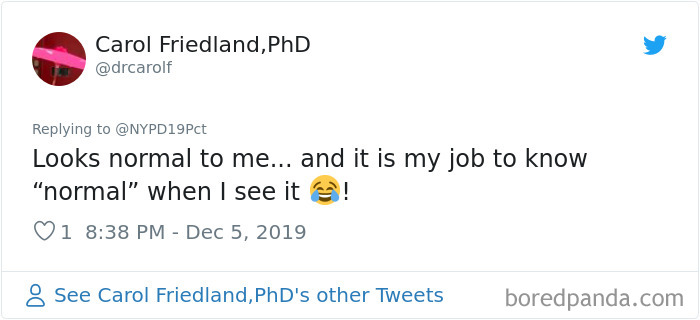 NYPD Posts The Adventures Of Their 'Law & Order'-Themed Elf On The Shelf NYPD Posts The Adventures Of Their 'Law & Order'-Themed Elf On The Shelf