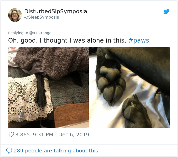 Someone Points Out That Dog Paws Look Like Koalas And Everyone Shares Pics Someone Points Out That Dog Paws Look Like Koalas And Everyone Shares Pics