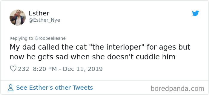 Parents-Didnt-Want-Cat-Now-Loves-Them