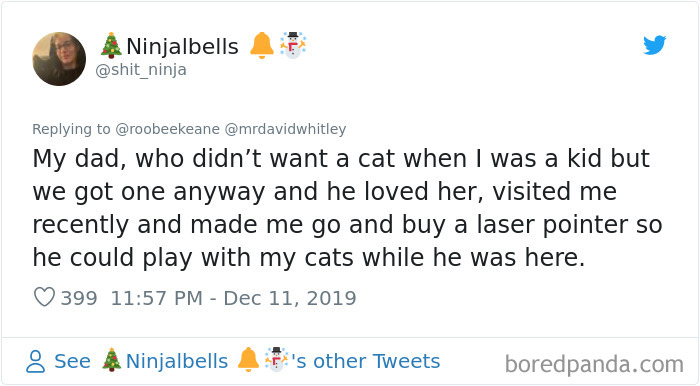 Parents-Didnt-Want-Cat-Now-Loves-Them