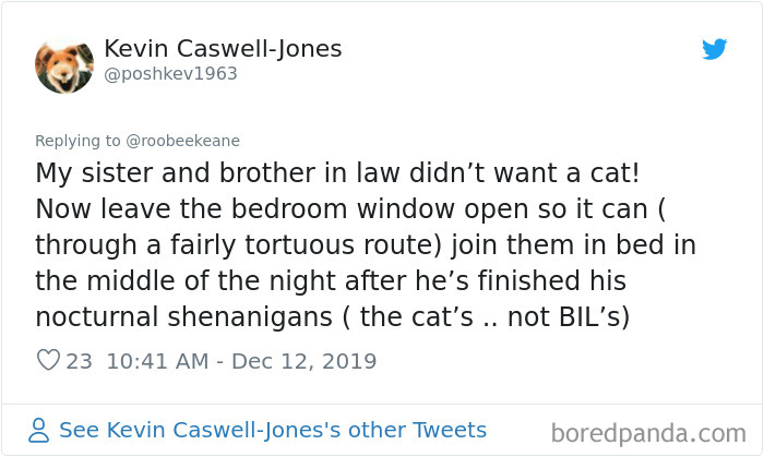 Parents-Didnt-Want-Cat-Now-Loves-Them