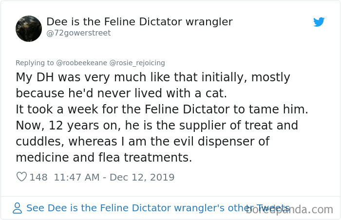 Parents-Didnt-Want-Cat-Now-Loves-Them