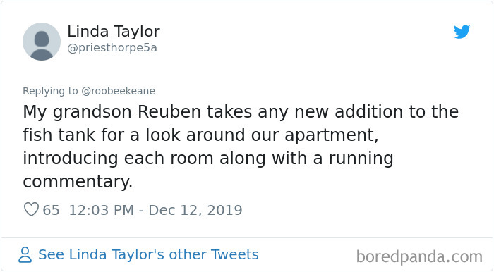 Parents-Didnt-Want-Cat-Now-Loves-Them