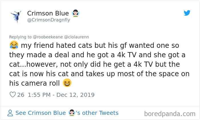 Parents-Didnt-Want-Cat-Now-Loves-Them