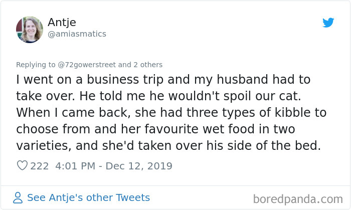 Parents-Didnt-Want-Cat-Now-Loves-Them