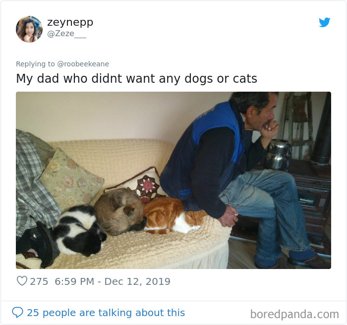Parents-Didnt-Want-Cat-Now-Loves-Them