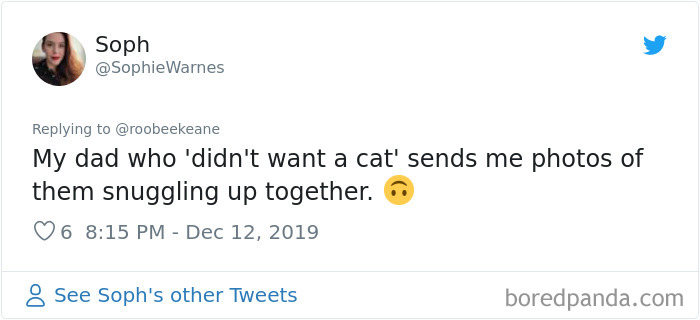 Parents-Didnt-Want-Cat-Now-Loves-Them