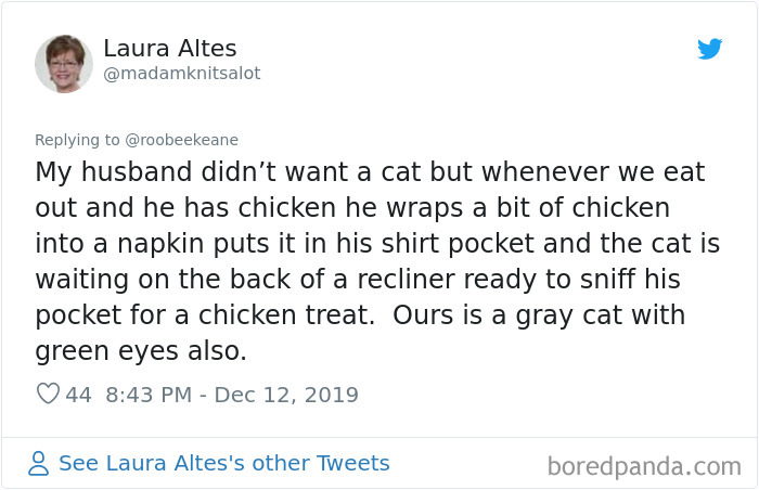 Parents-Didnt-Want-Cat-Now-Loves-Them