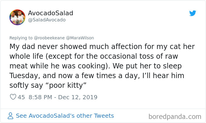 Parents-Didnt-Want-Cat-Now-Loves-Them