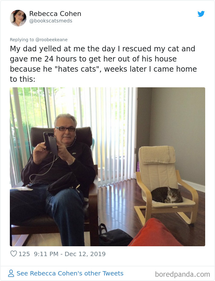 Parents-Didnt-Want-Cat-Now-Loves-Them