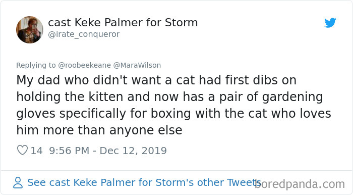 Parents-Didnt-Want-Cat-Now-Loves-Them