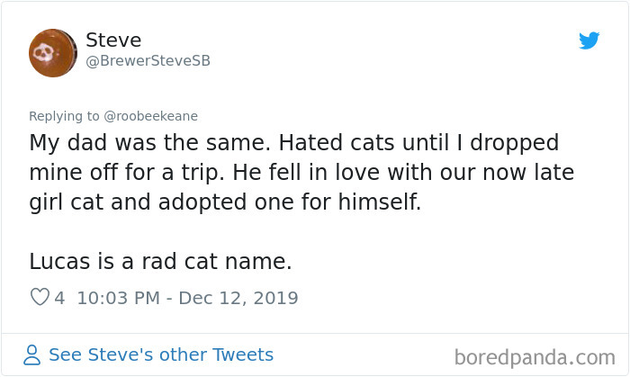 Parents-Didnt-Want-Cat-Now-Loves-Them