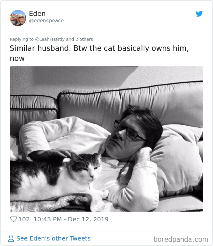 Parents-Didnt-Want-Cat-Now-Loves-Them