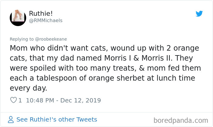 Parents-Didnt-Want-Cat-Now-Loves-Them