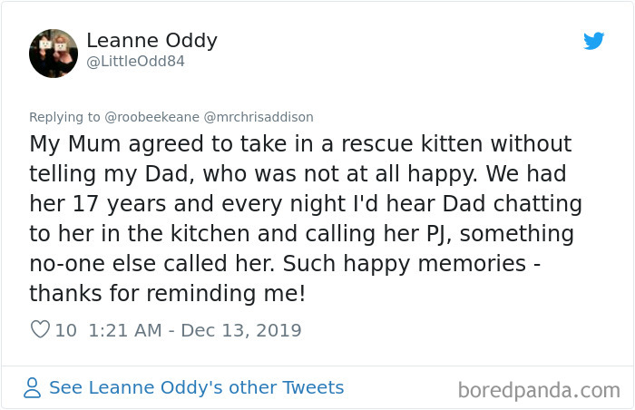 Parents-Didnt-Want-Cat-Now-Loves-Them