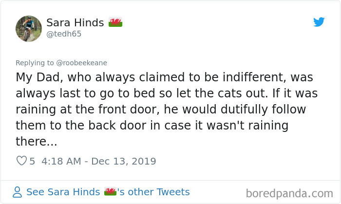 Parents-Didnt-Want-Cat-Now-Loves-Them