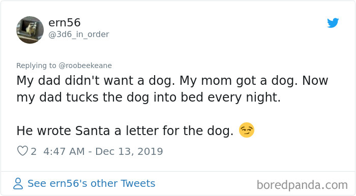 Parents-Didnt-Want-Cat-Now-Loves-Them