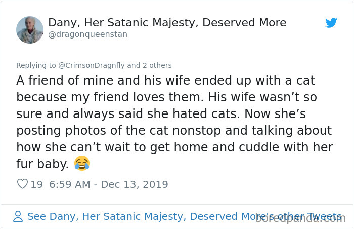 Parents-Didnt-Want-Cat-Now-Loves-Them